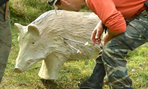 Types Of Archery Styles You Need To Know - Archery for Beginners